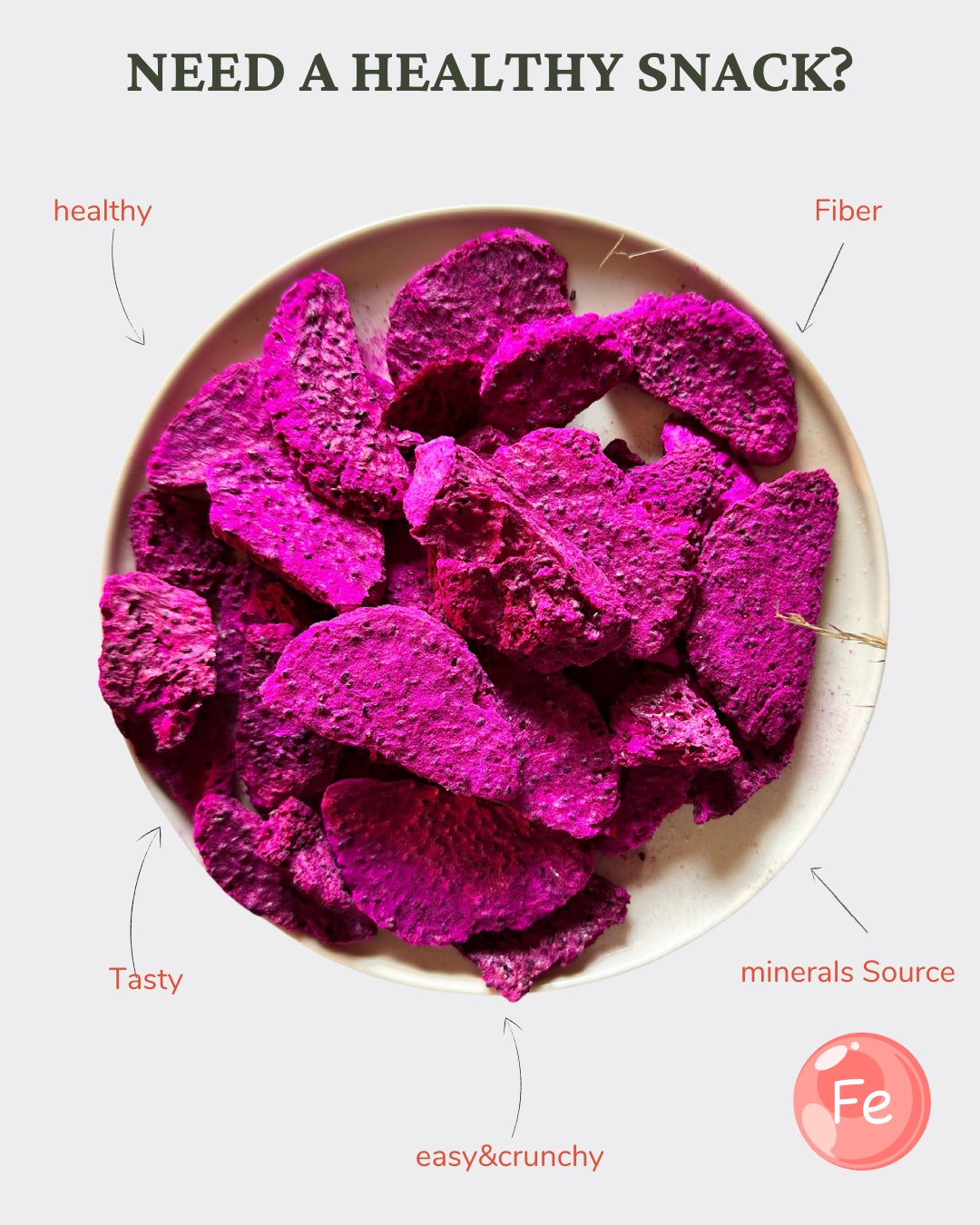Dragon Fruit – Freeze-Dried